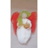 Engel mit Laternchen (Physalis)