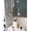 Winterbaum